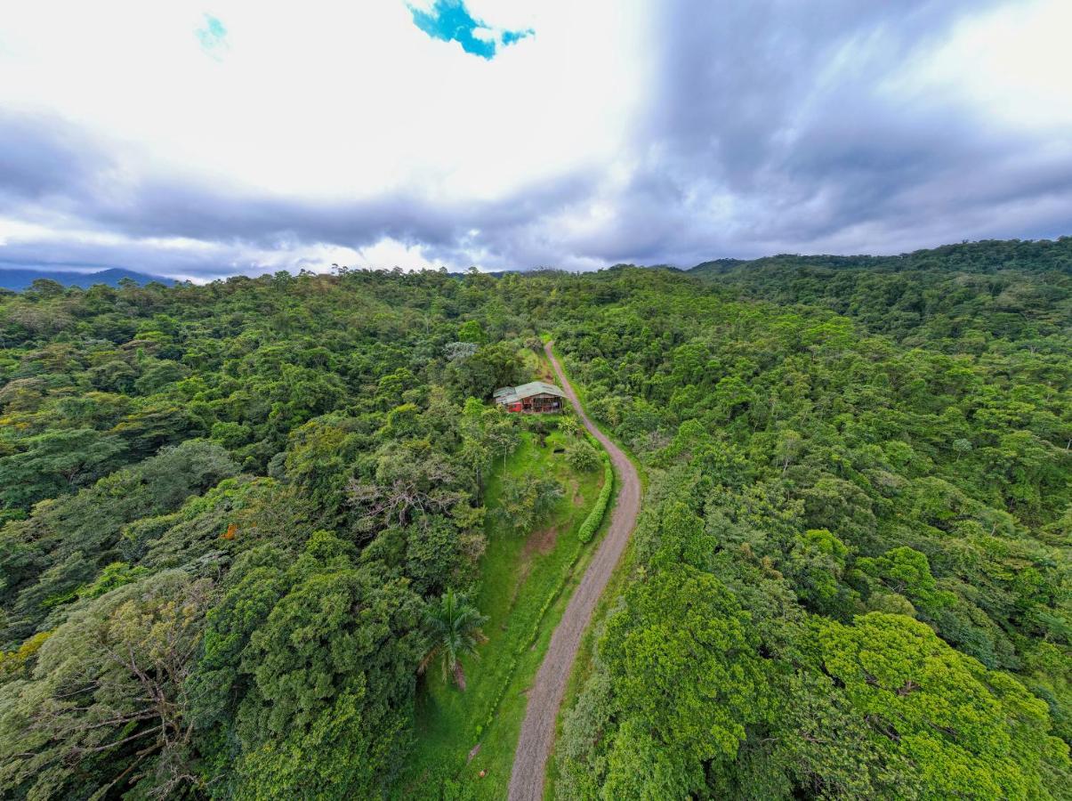 Birds & Breakfast Costa Rica Bed & Breakfast La Tigra  Luaran gambar