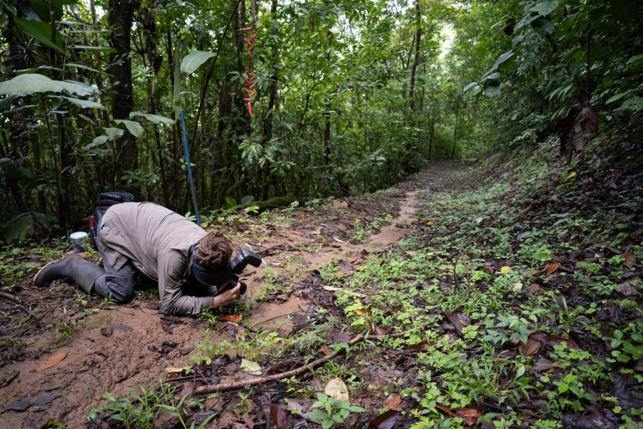 Birds & Breakfast Costa Rica Bed & Breakfast La Tigra  Luaran gambar