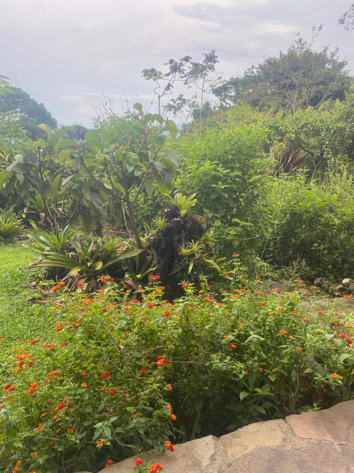Birds & Breakfast Costa Rica Bed & Breakfast La Tigra  Luaran gambar