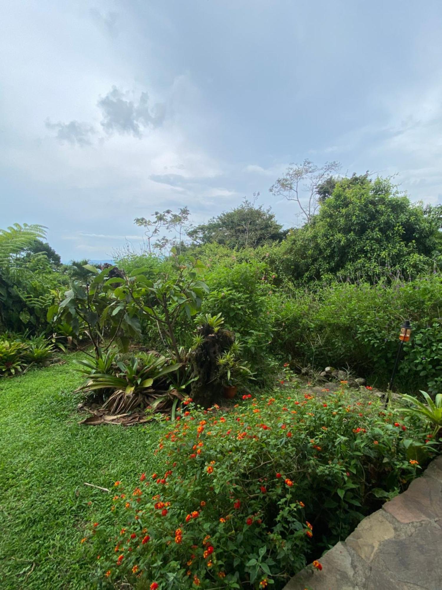 Birds & Breakfast Costa Rica Bed & Breakfast La Tigra  Luaran gambar