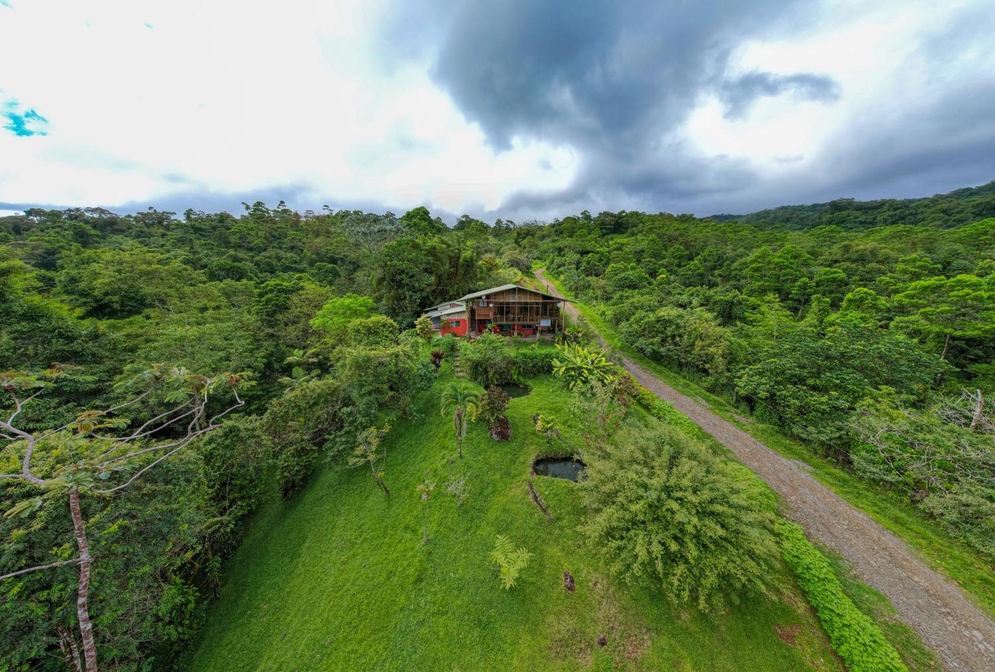 Birds & Breakfast Costa Rica Bed & Breakfast La Tigra  Luaran gambar